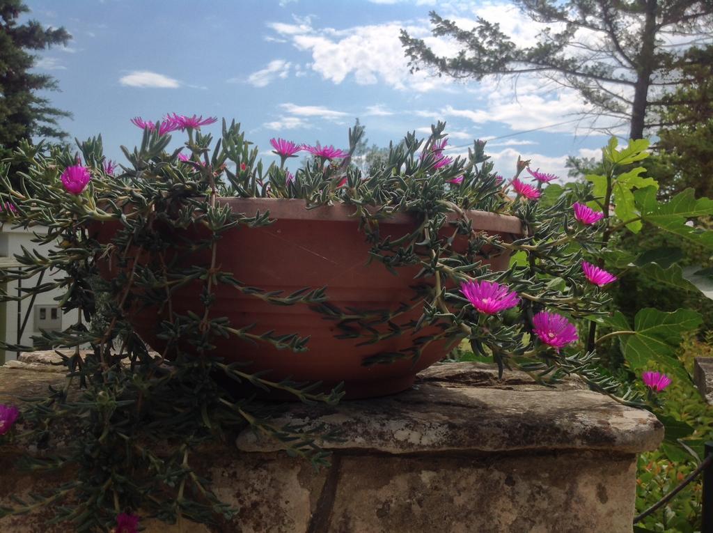 Holiday House Altea Banjole Camera foto