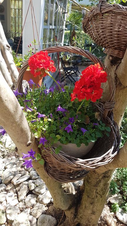 Holiday House Altea Banjole Esterno foto